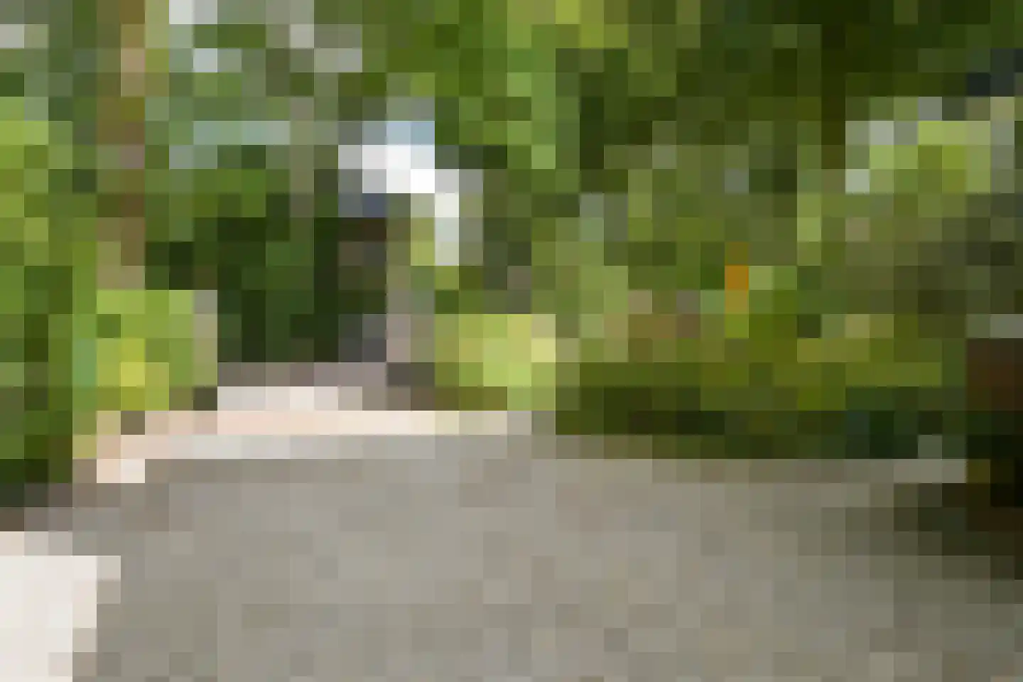 Eikenlaan 14 Wassenaar thumbnail 43