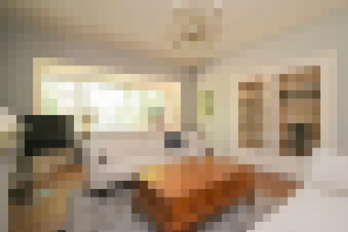 Eikenlaan 14 Wassenaar thumbnail 5
