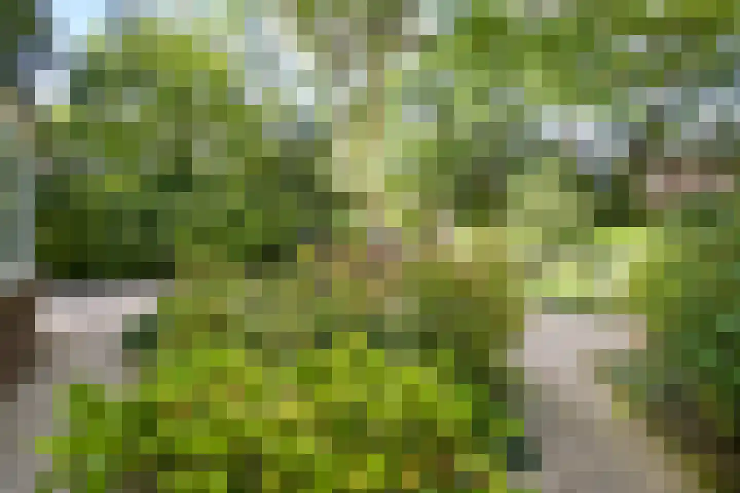 Eikenlaan 14 Wassenaar thumbnail 53