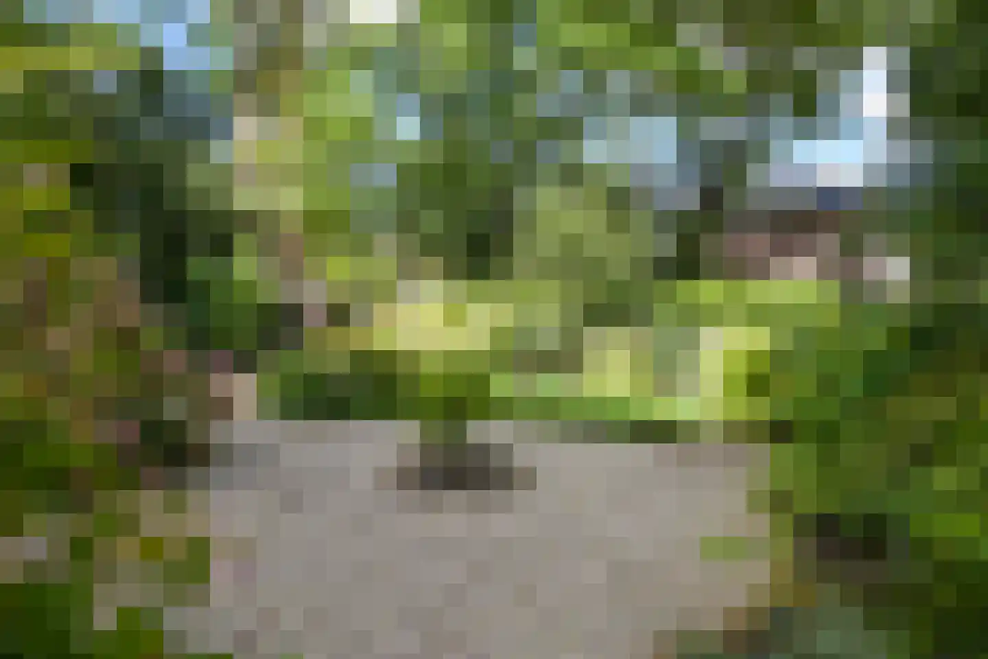 Eikenlaan 14 Wassenaar thumbnail 54