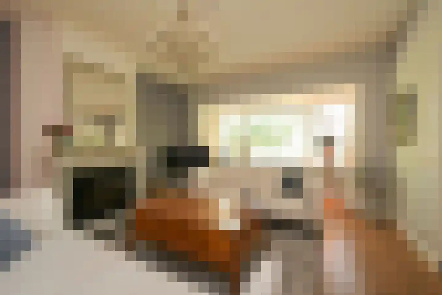 Eikenlaan 14 Wassenaar thumbnail 6