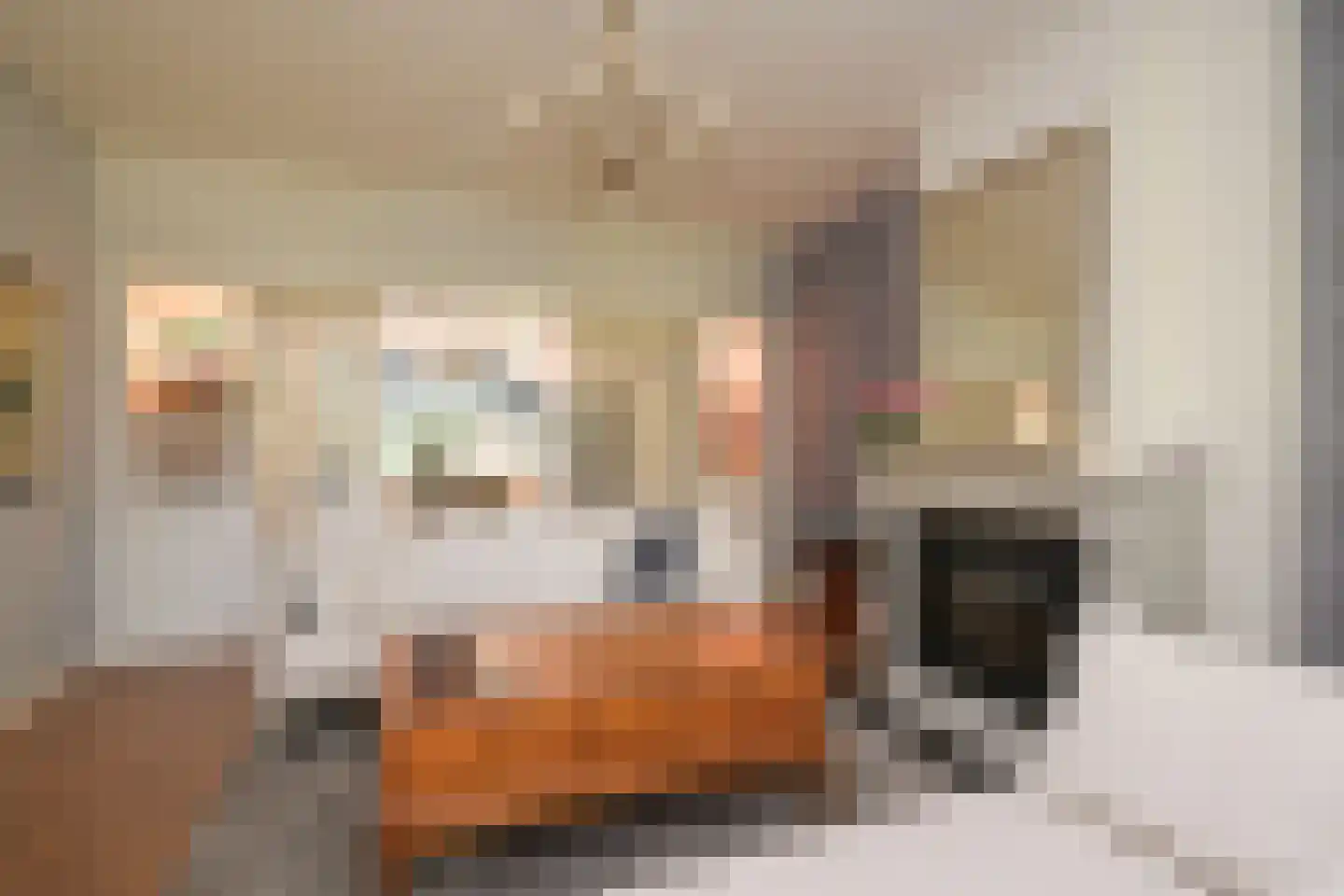 Eikenlaan 14 Wassenaar thumbnail 7