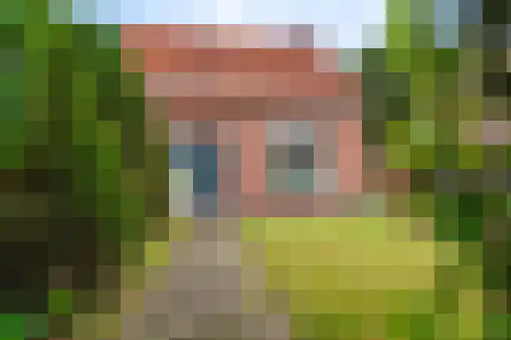 Eikenlaan 14 Zuidbroek thumbnail 10