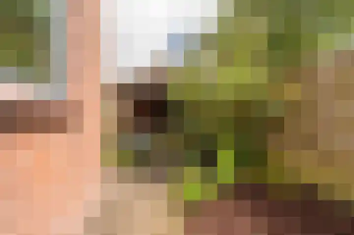 Eikenlaan 14 Zuidbroek thumbnail 33