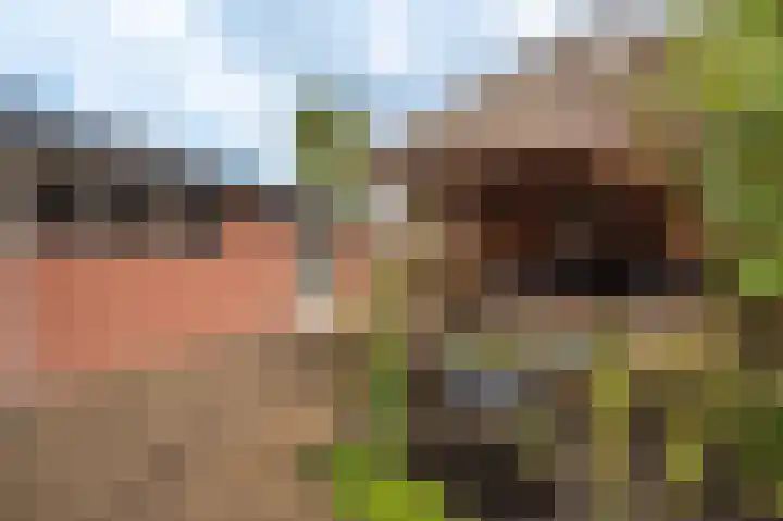 Eikenlaan 14 Zuidbroek thumbnail 34
