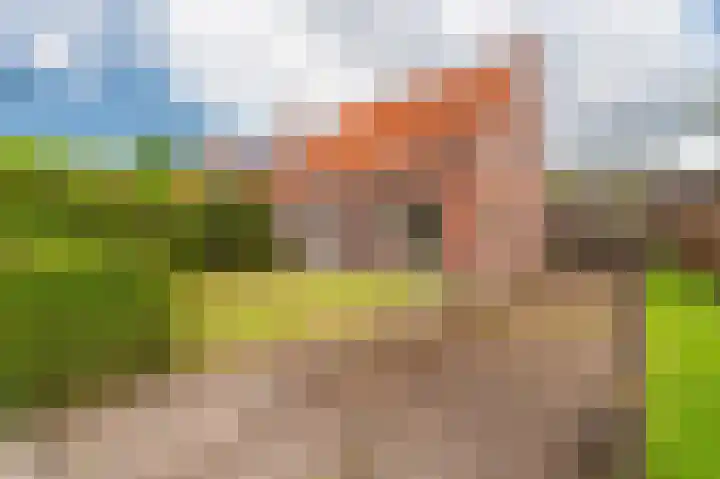 Eikenlaan 14 Zuidbroek thumbnail 8