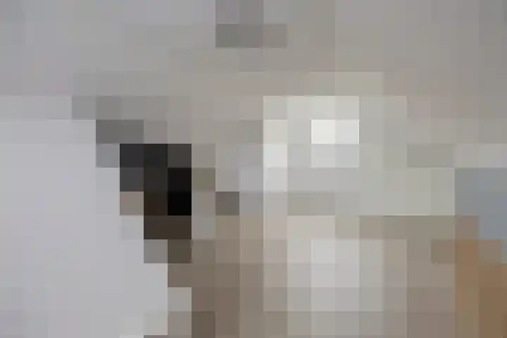 Eikenlaan 15 Dronten thumbnail 33