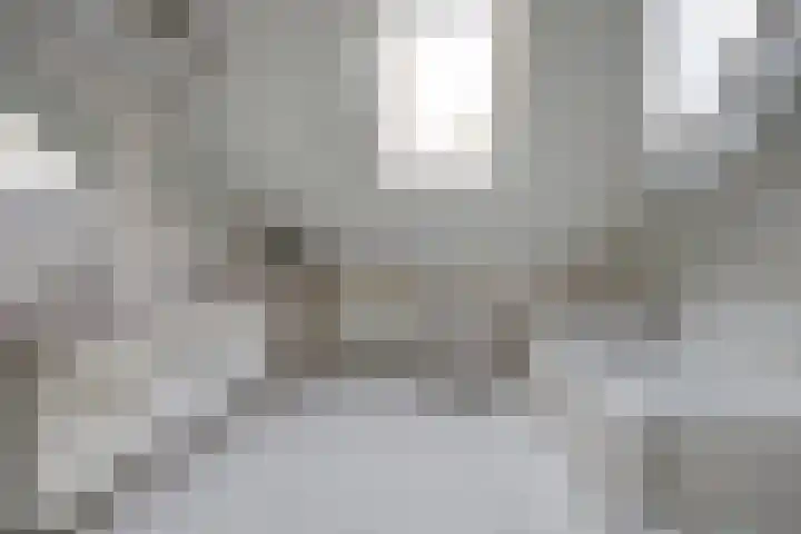 Eikenlaan 15 Dronten thumbnail 34