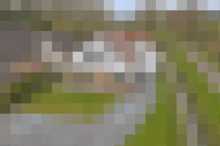 Eikenlaan 15 Dronten thumbnail 37
