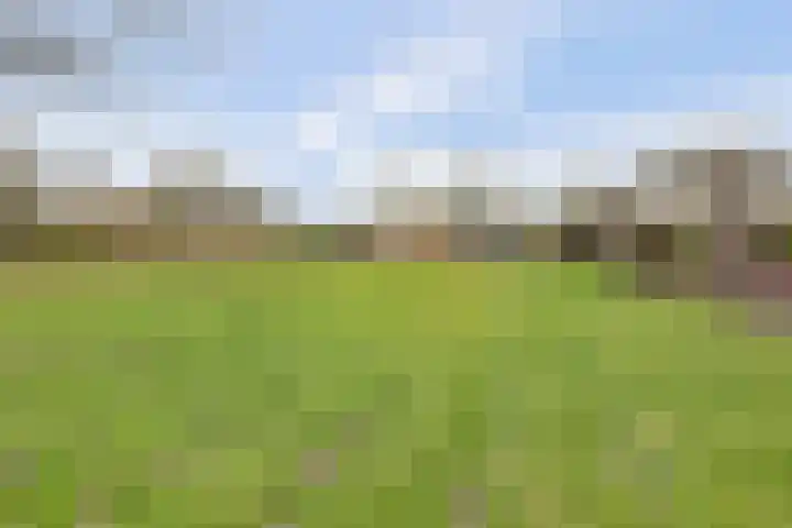 Eikenlaan 15 Dronten thumbnail 43