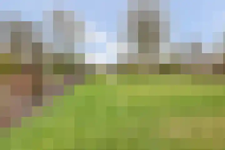 Eikenlaan 15 Dronten thumbnail 44