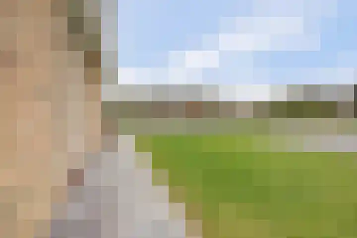 Eikenlaan 15 Dronten thumbnail 47