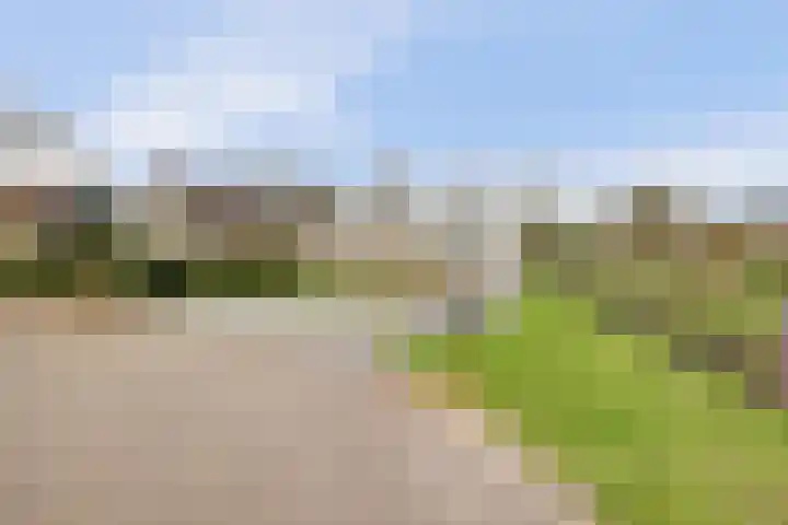 Eikenlaan 15 Dronten thumbnail 5
