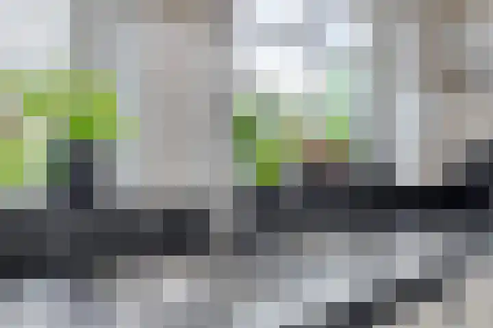 Eikenlaan 15 Dronten thumbnail 6