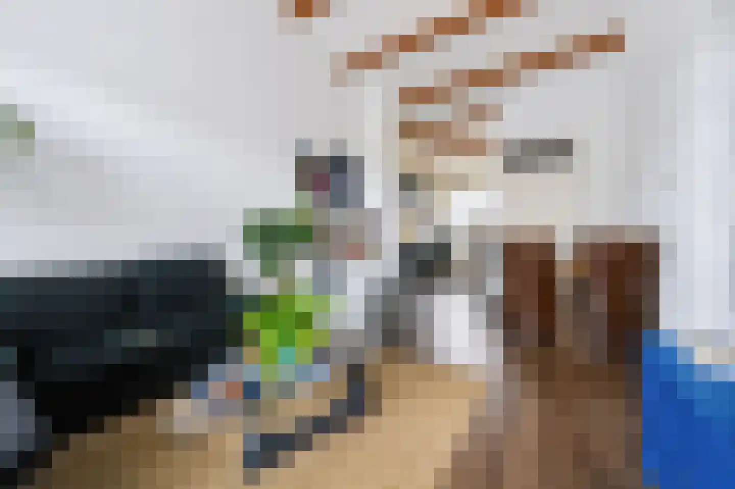 Eikenlaan 15 E Spijkenisse thumbnail 11