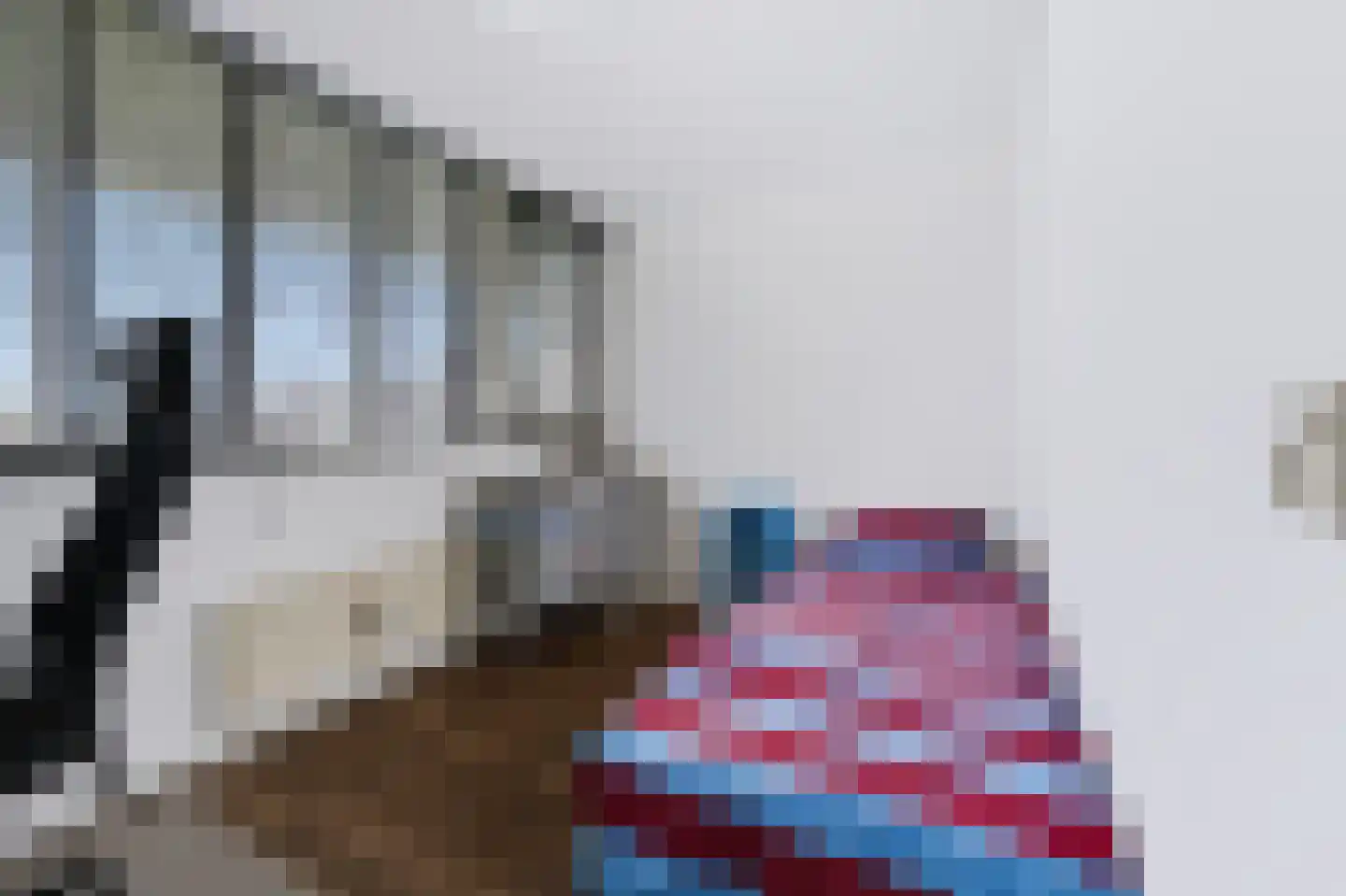 Eikenlaan 15 E Spijkenisse thumbnail 17
