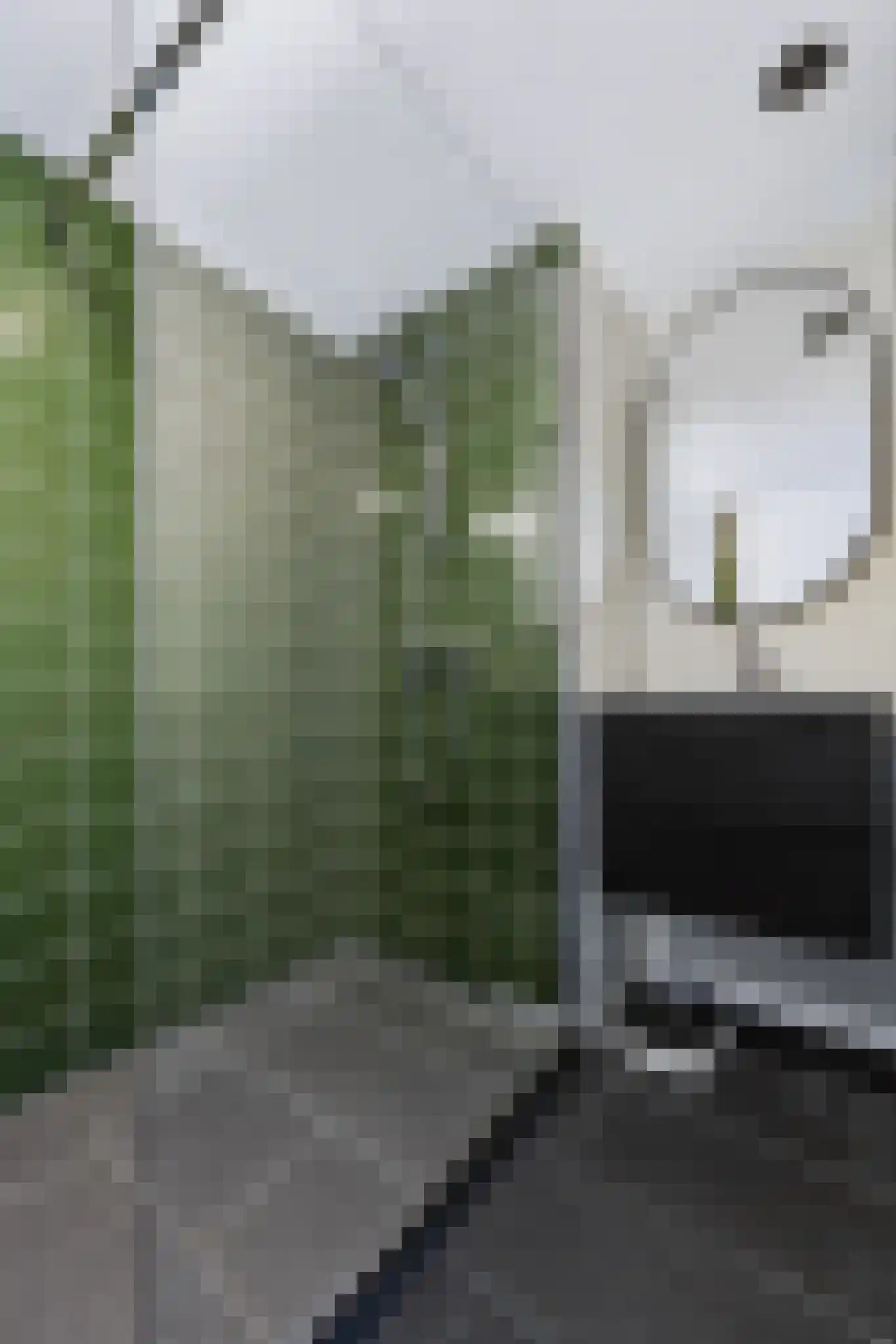 Eikenlaan 15 E Spijkenisse thumbnail 5