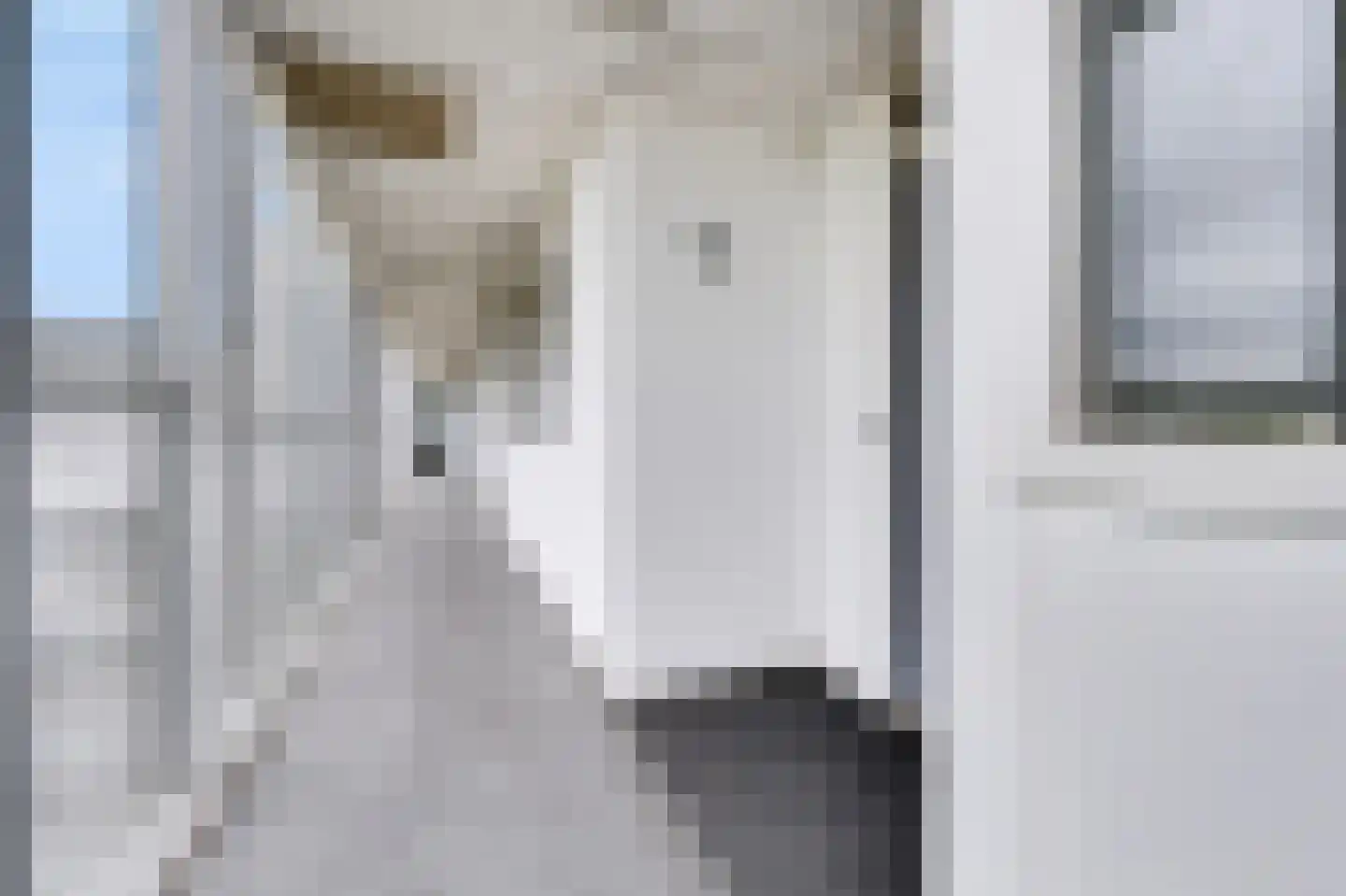 Eikenlaan 15 E Spijkenisse thumbnail 8