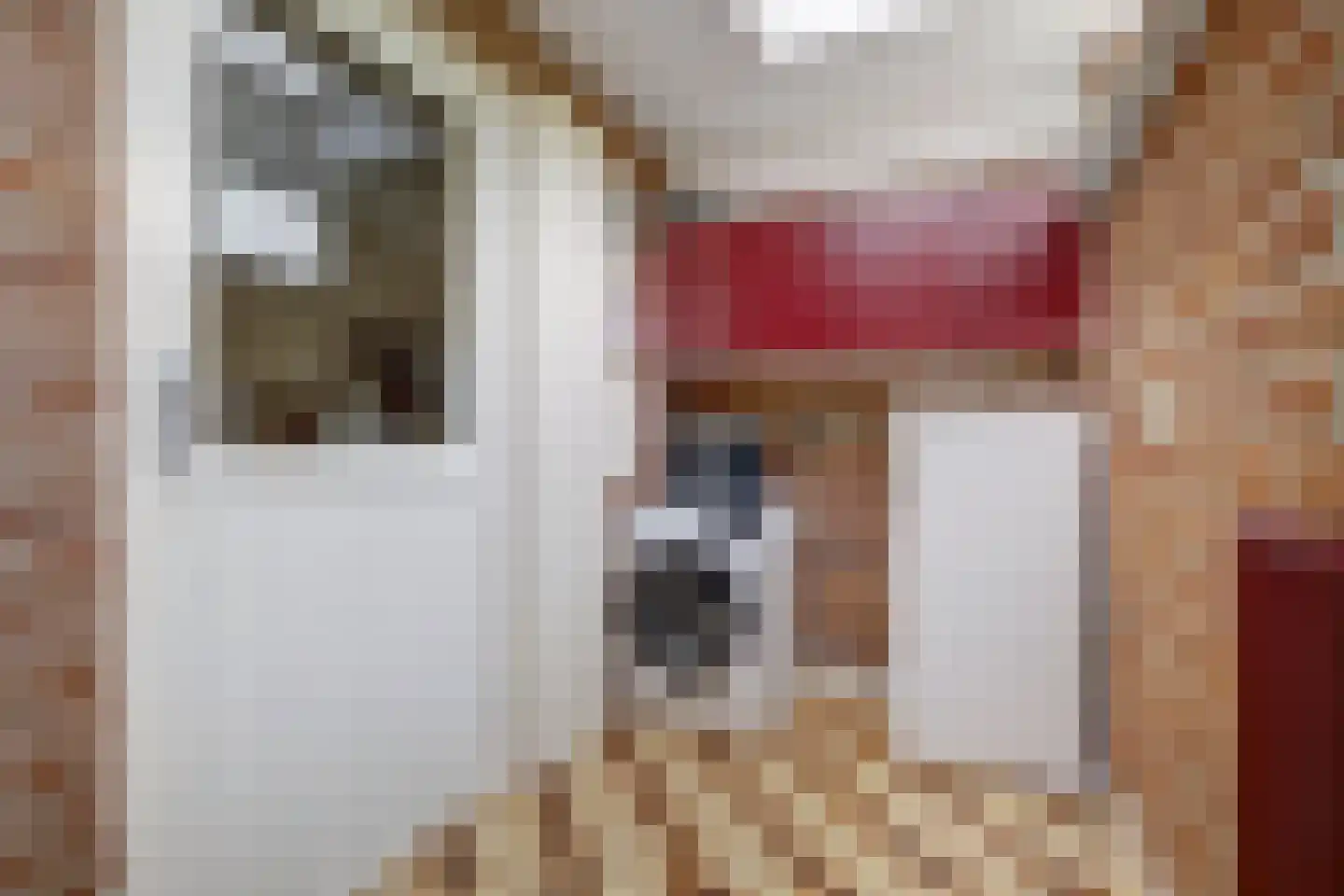 Eikenlaan 15 Vorden thumbnail 10