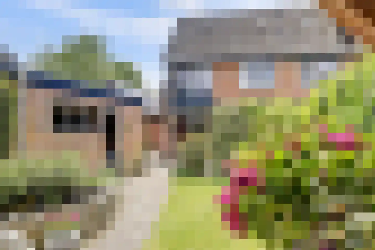 Eikenlaan 15 Vorden thumbnail 20