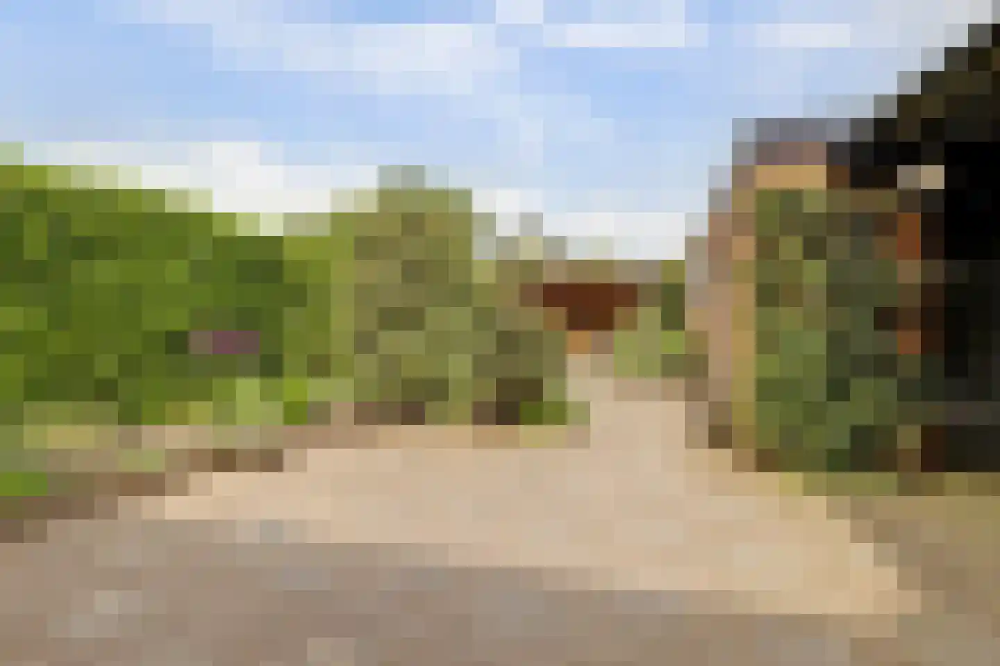 Eikenlaan 15 Vorden thumbnail 22