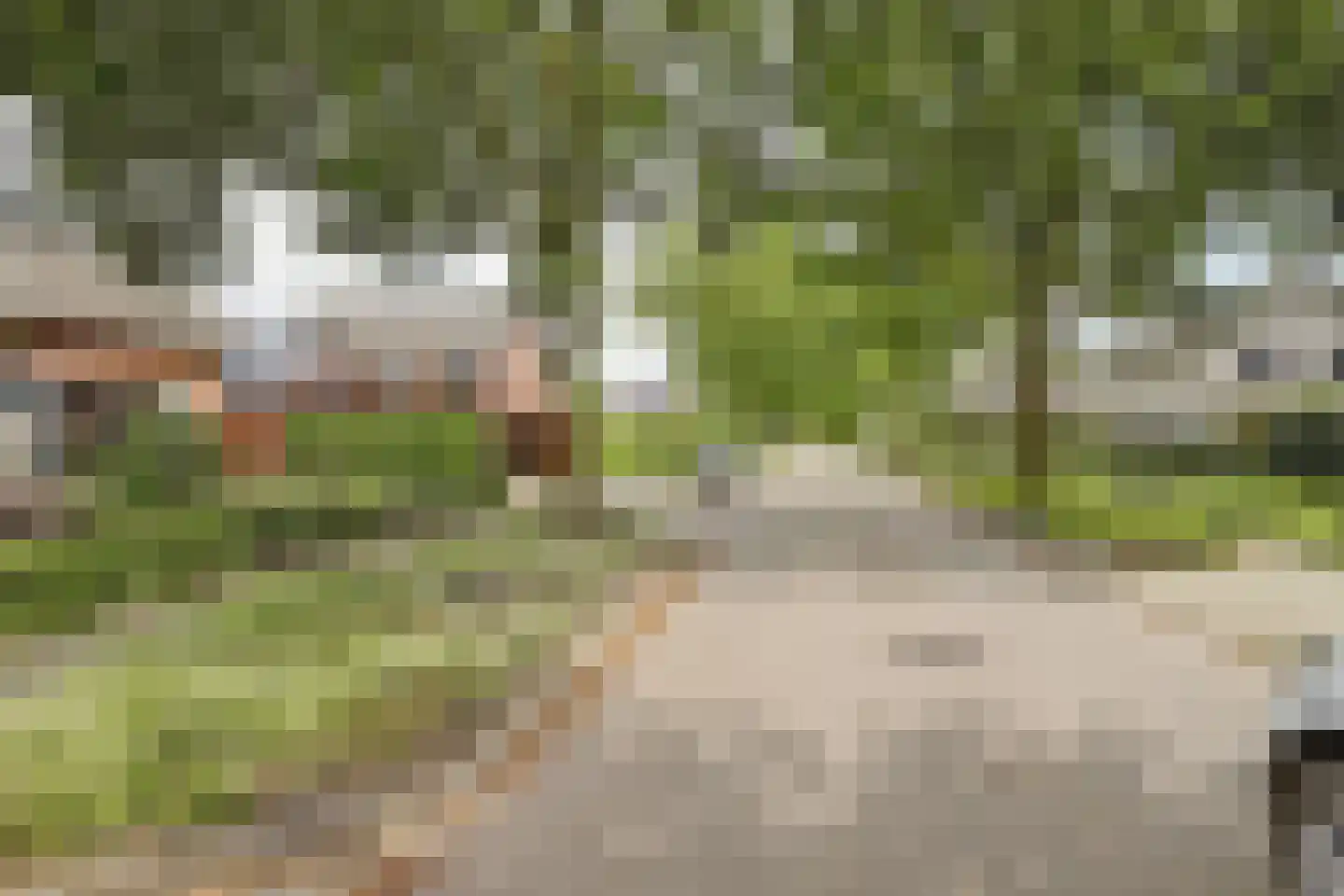 Eikenlaan 15 Vorden thumbnail 25