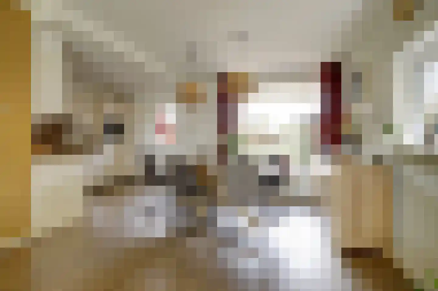 Eikenlaan 15 Vorden thumbnail 7