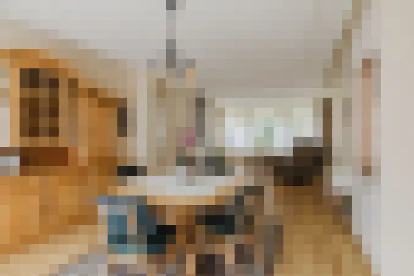 Eikenlaan 15 Zundert thumbnail 15