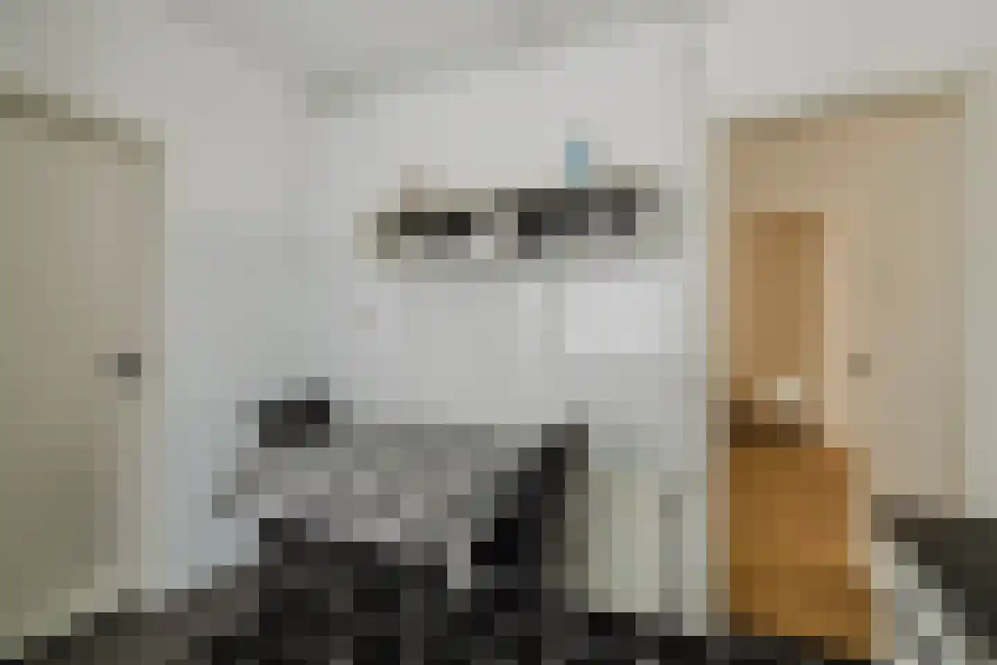 Eikenlaan 15 Zundert thumbnail 18