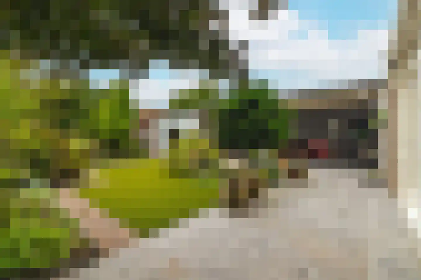 Eikenlaan 15 Zundert thumbnail 35