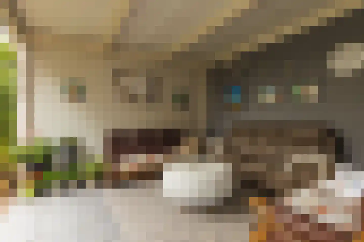 Eikenlaan 15 Zundert thumbnail 38