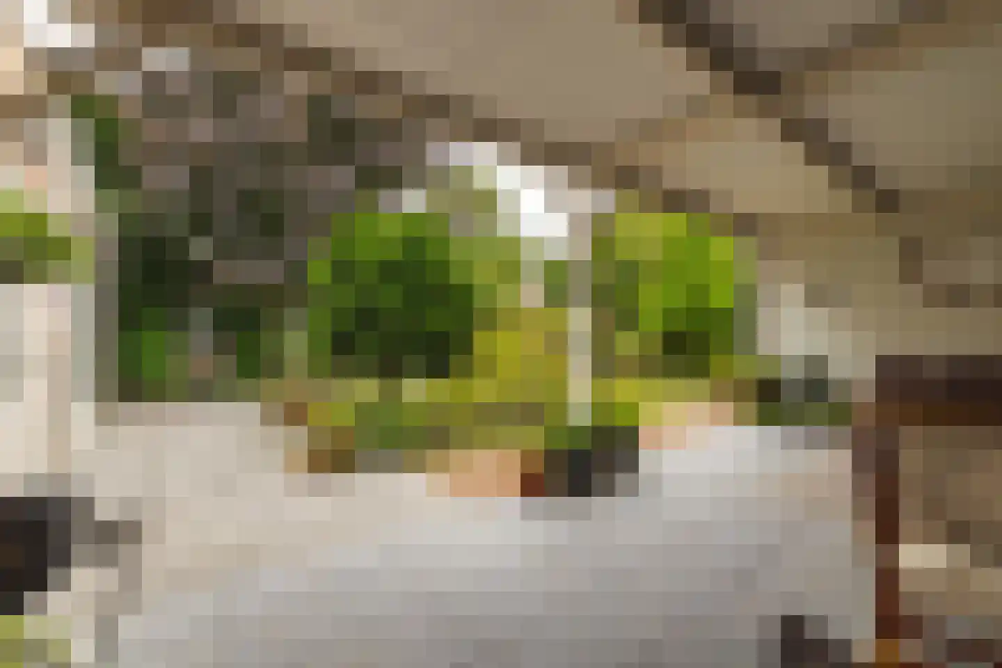 Eikenlaan 15 Zundert thumbnail 39