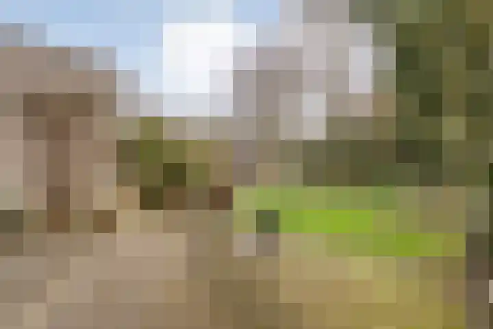 Eikenlaan 16 Aadorp thumbnail 30