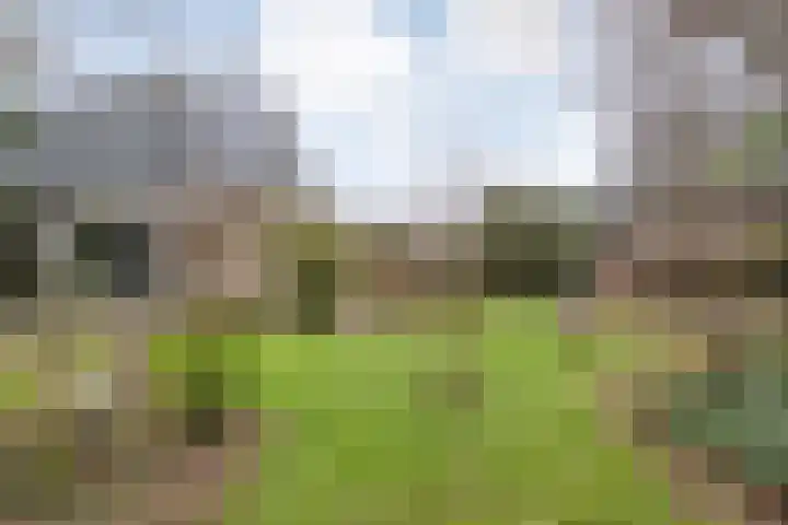 Eikenlaan 16 Aadorp thumbnail 32