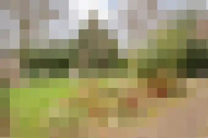 Eikenlaan 16 Aadorp thumbnail 34