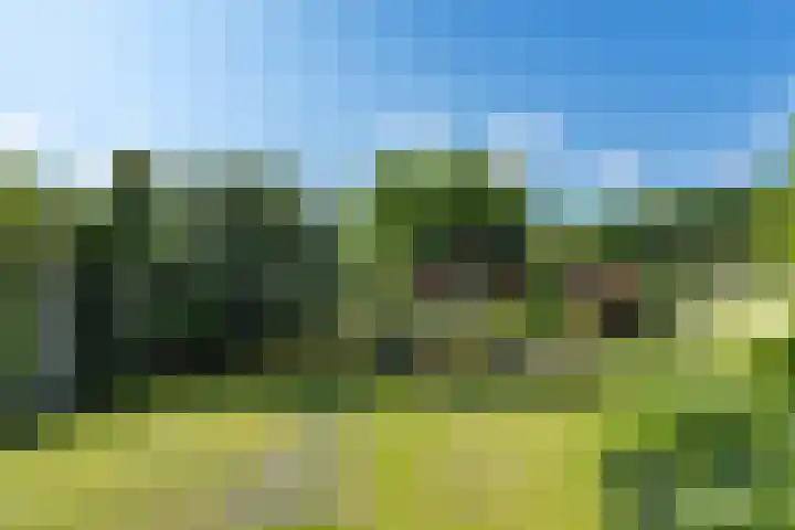 Eikenlaan 16 Brunssum thumbnail 22