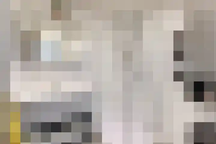 Eikenlaan 16 Geleen thumbnail 10