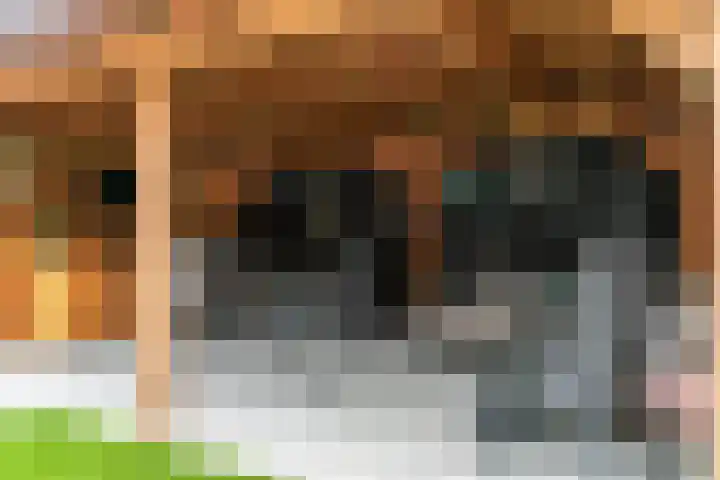 Eikenlaan 16 Geleen thumbnail 27