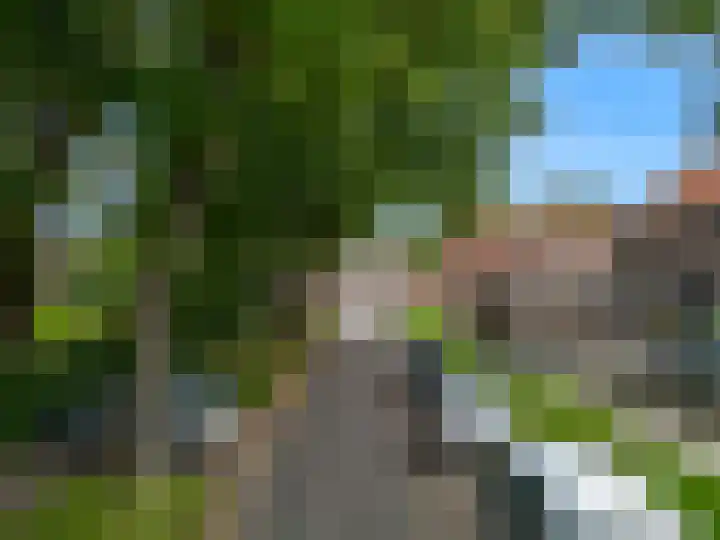 Eikenlaan 16 Geleen thumbnail 34