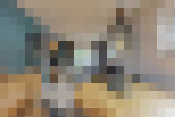 Eikenlaan 16 Geleen thumbnail 8