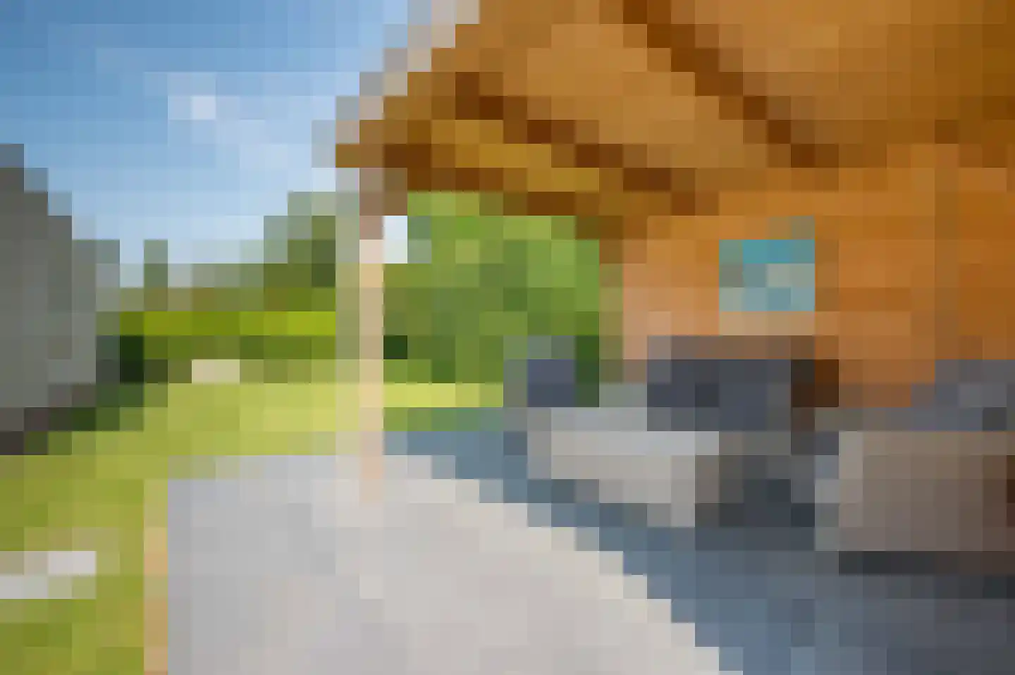 Eikenlaan 16 Kamperland thumbnail 21