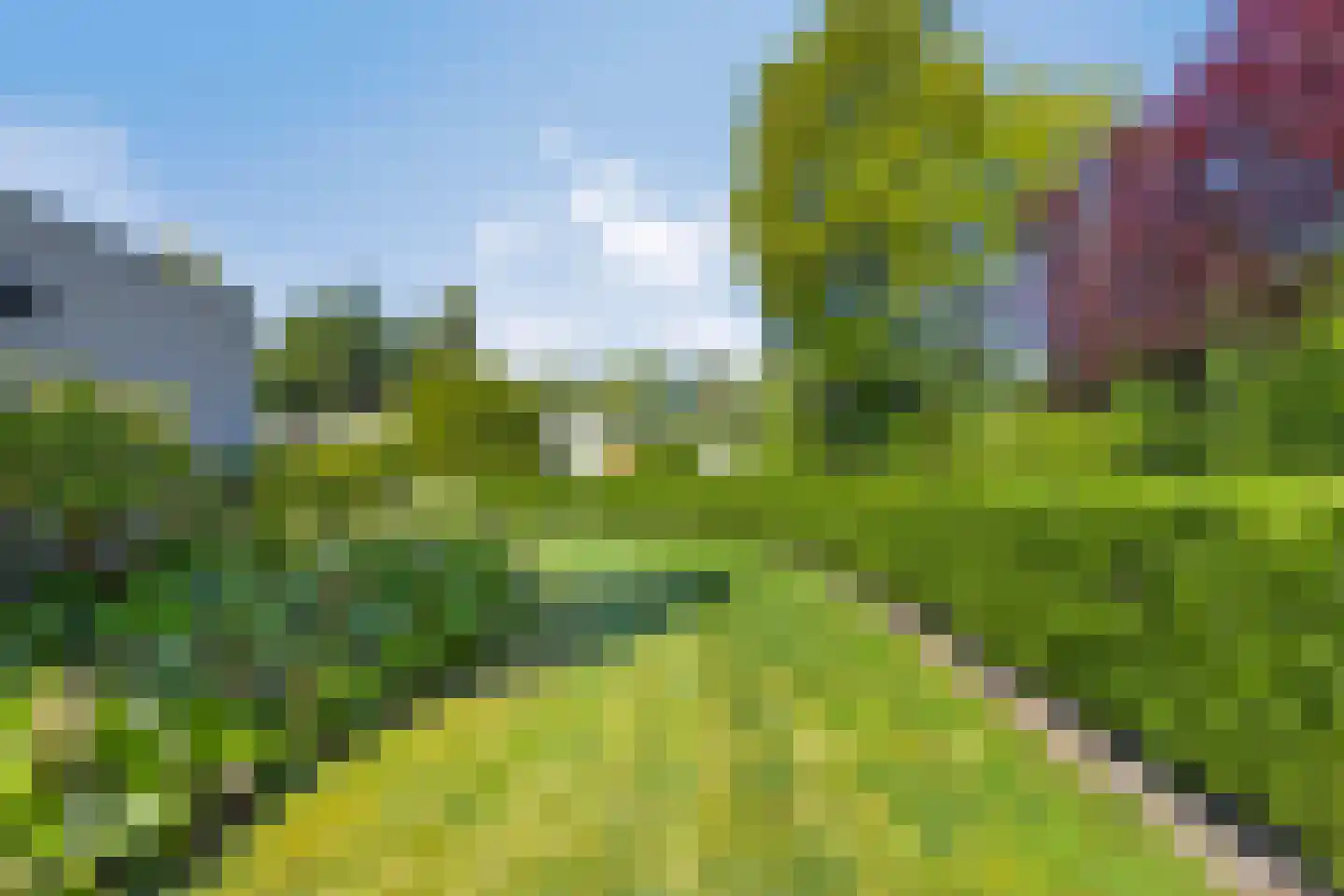 Eikenlaan 16 Kamperland thumbnail 27