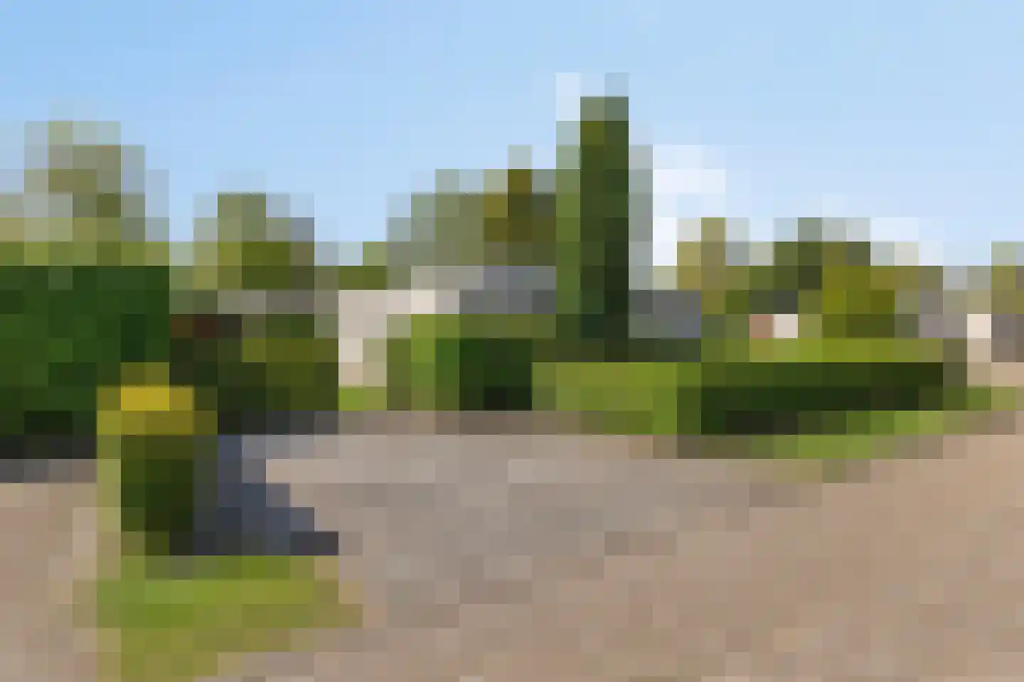Eikenlaan 16 Kamperland thumbnail 28
