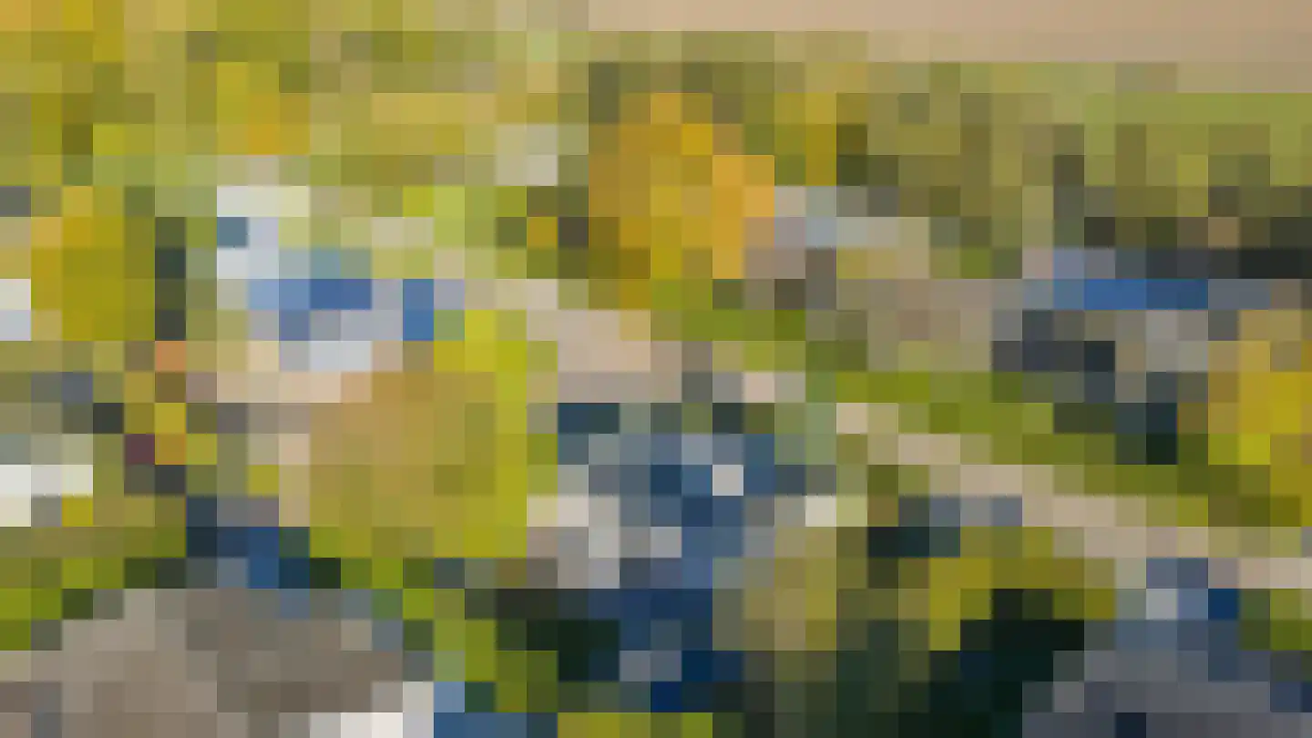 Eikenlaan 16 Kamperland thumbnail 30
