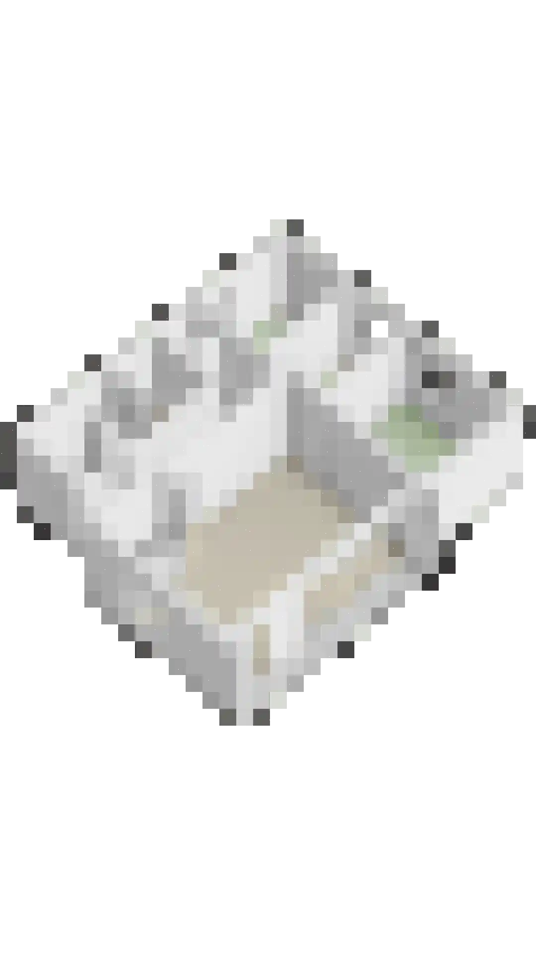 Eikenlaan 16 Kamperland thumbnail 34
