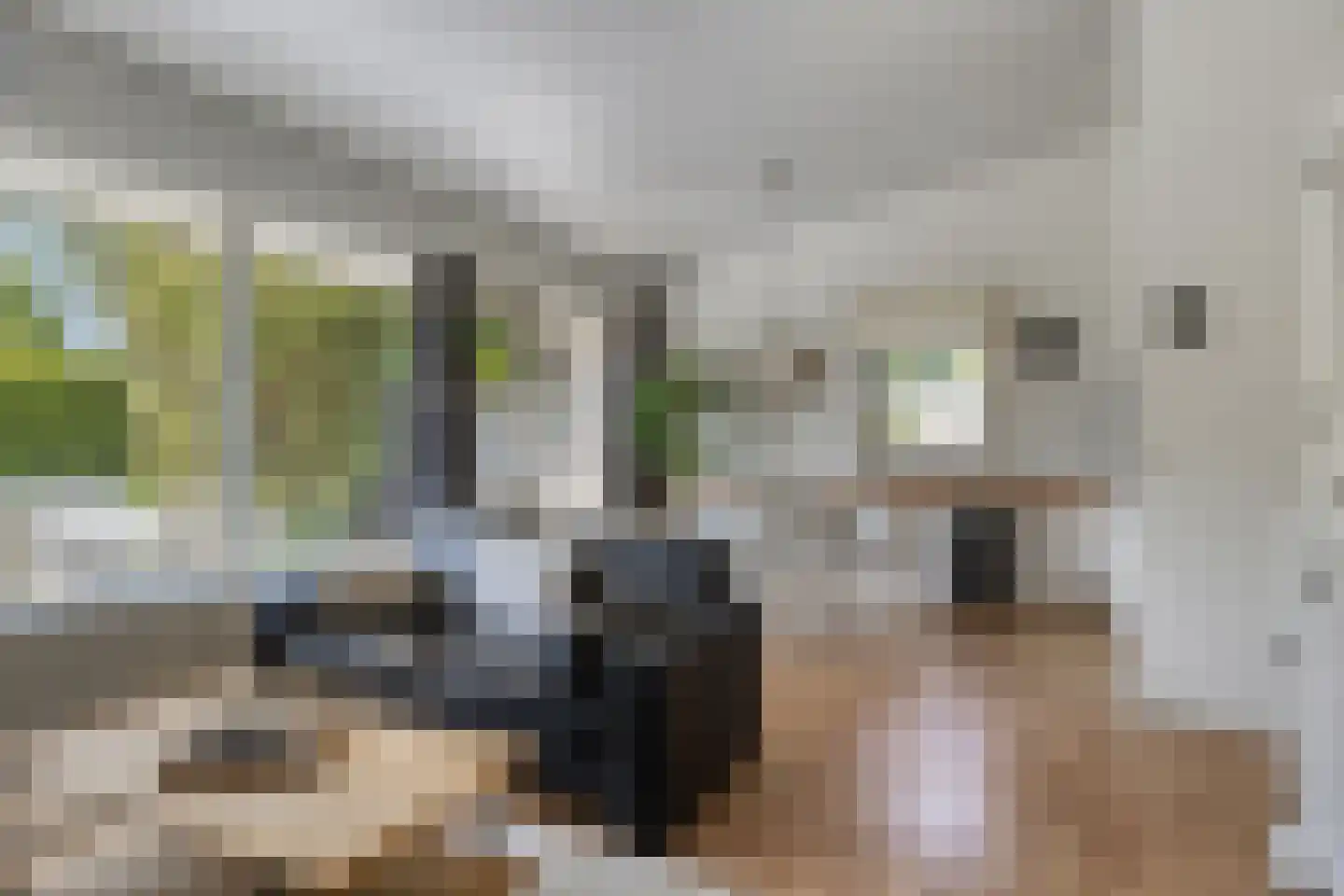 Eikenlaan 16 Kamperland thumbnail 7