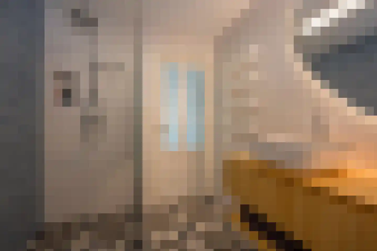 Eikenlaan 16 Nijkerk thumbnail 22