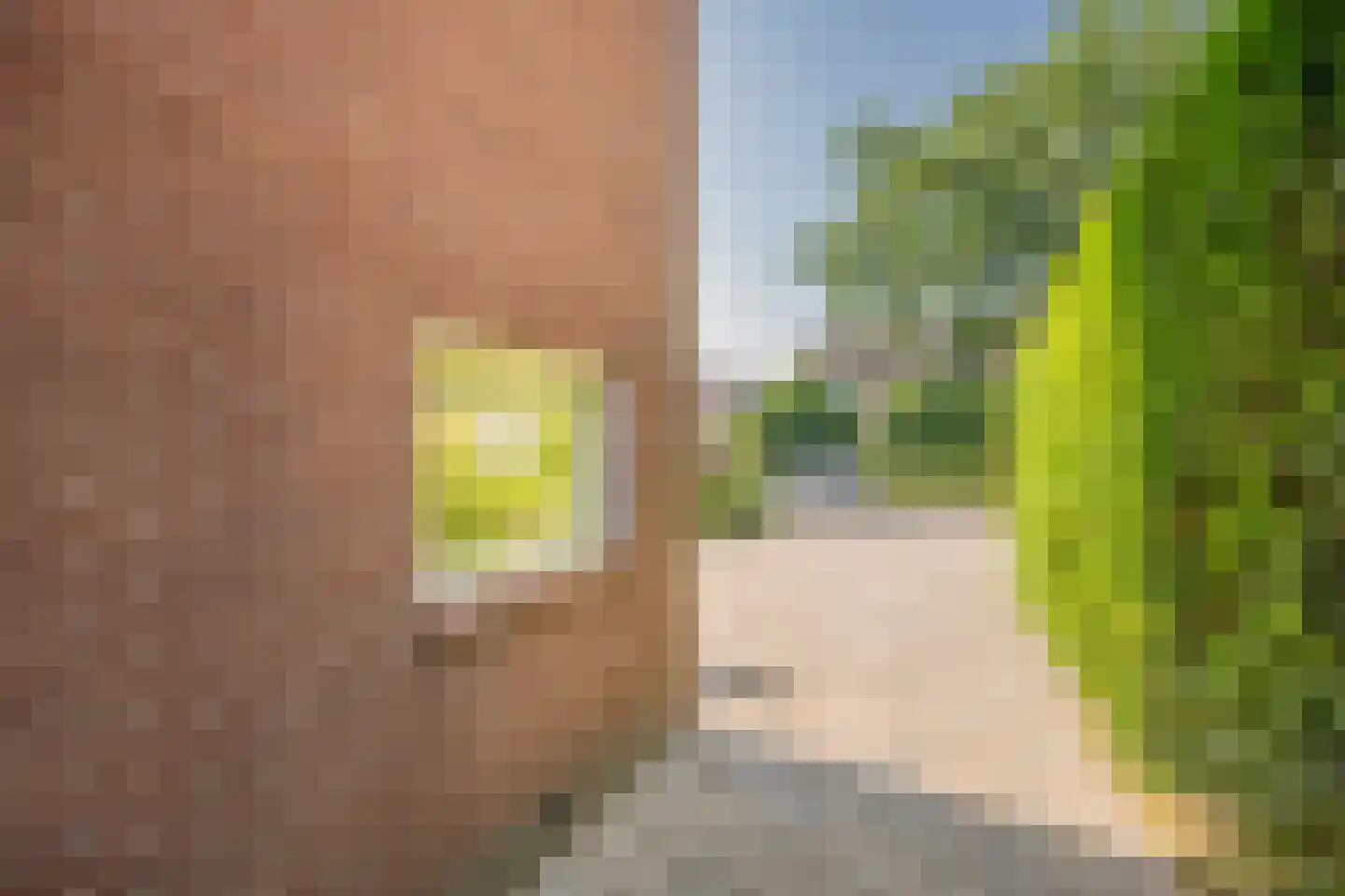 Eikenlaan 16 Nijkerk thumbnail 34