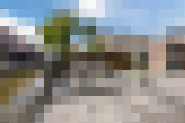 Eikenlaan 16 Rijnsburg thumbnail 31