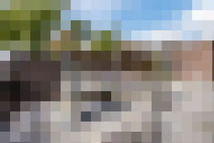 Eikenlaan 16 Rijnsburg thumbnail 35
